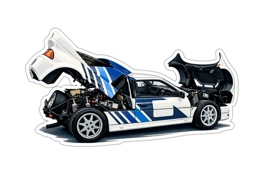 RS200 Magnet 2